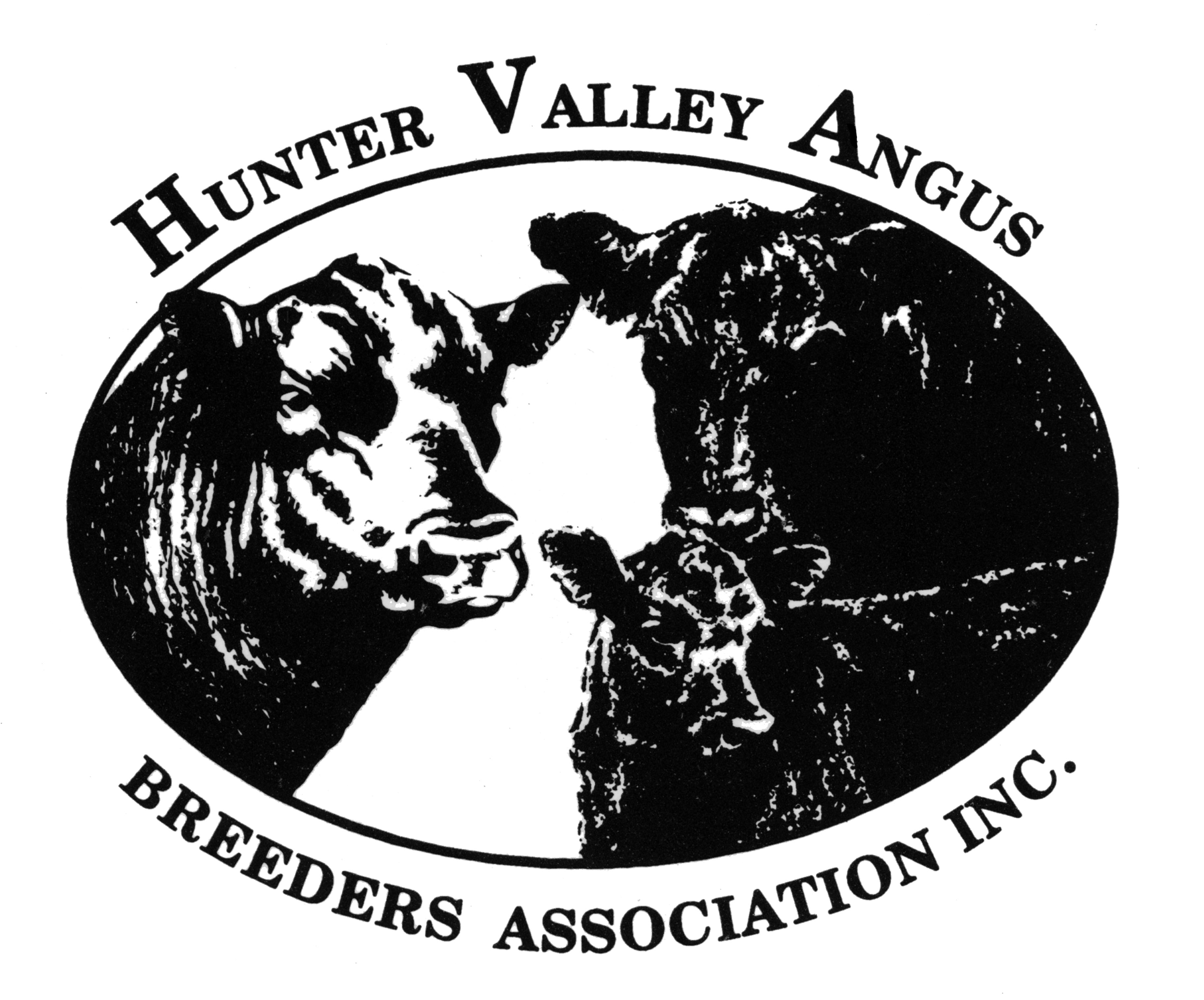 Hunter Valley Angus Breeders Female Sale